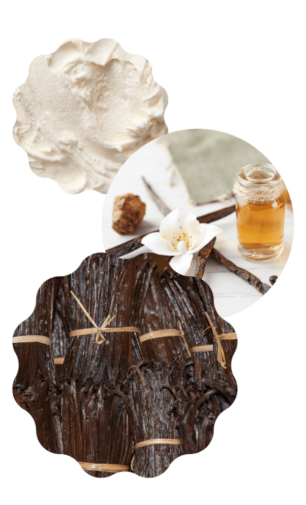 Nos opérations - VSG