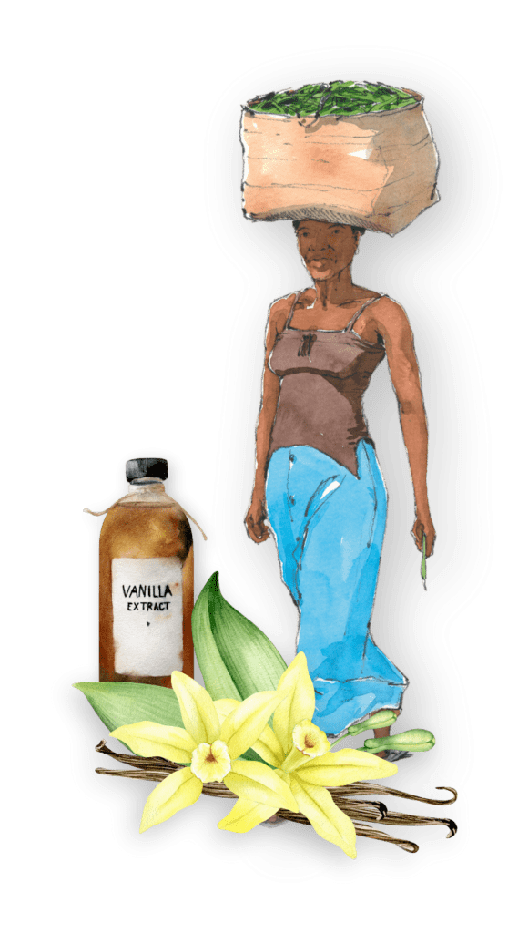 Vanilla Sourcing Group - La Vanille